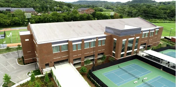 a view of yard with tree