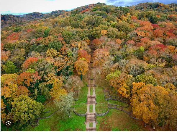 a view of a dry yard with wooden fence