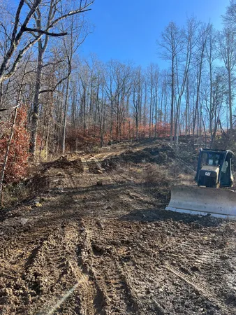 a view of dirt yard with a large tree