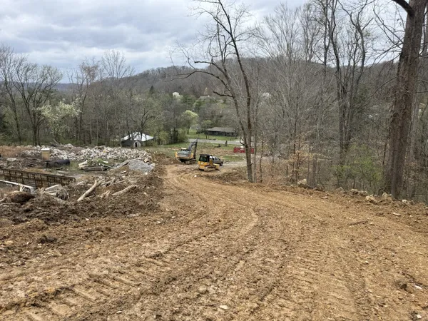 a view of a park with large trees