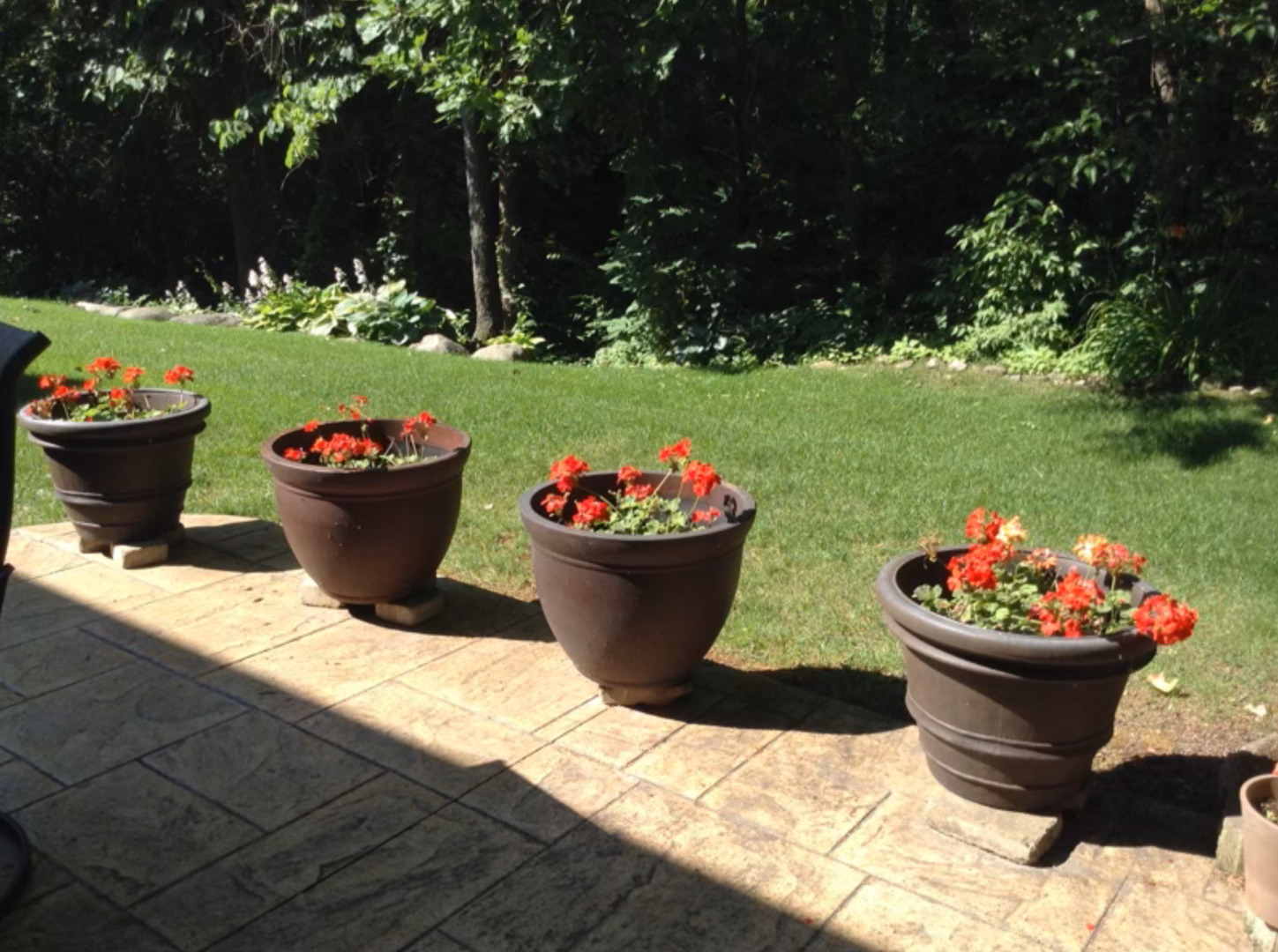 312 Quarry Ridge Circle Sugar Grove, IL 60554 - Photo 23 of 23 a view of a garden and flowers in back yard of the house