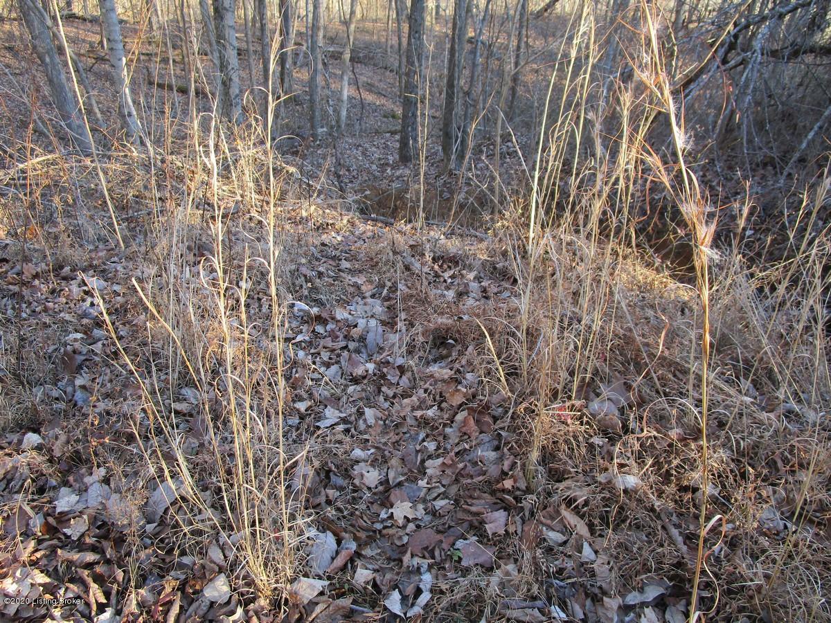 0 Jones Road Caneyville, KY 42721 - Photo 20 of 34 Image000200 Jones Rd