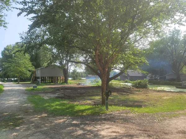 a view of a yard in the forest
