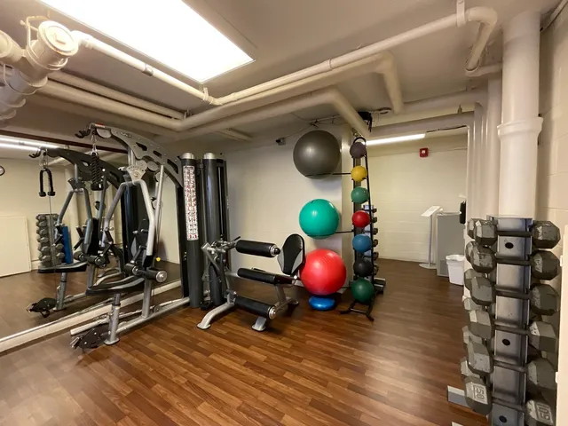 $2,400 | 100 East Walton Street, Unit 27B, Chicago, IL 60611