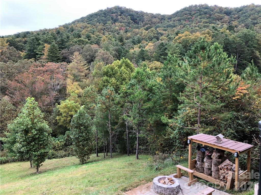 836 Burney Mountain Road Fletcher, NC 28732 - Photo 14 of 37