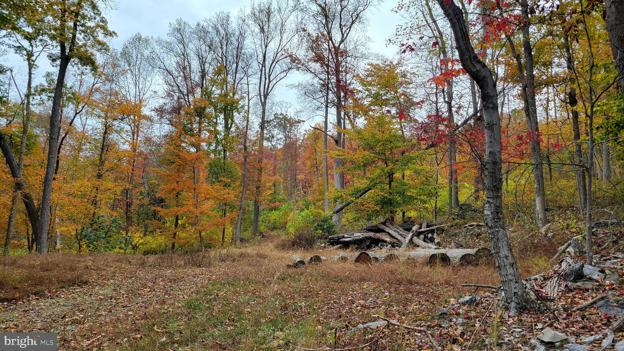 4460 Middlepoint Road Myersville, MD 21773 - Photo 2 of 6 a view of backyard