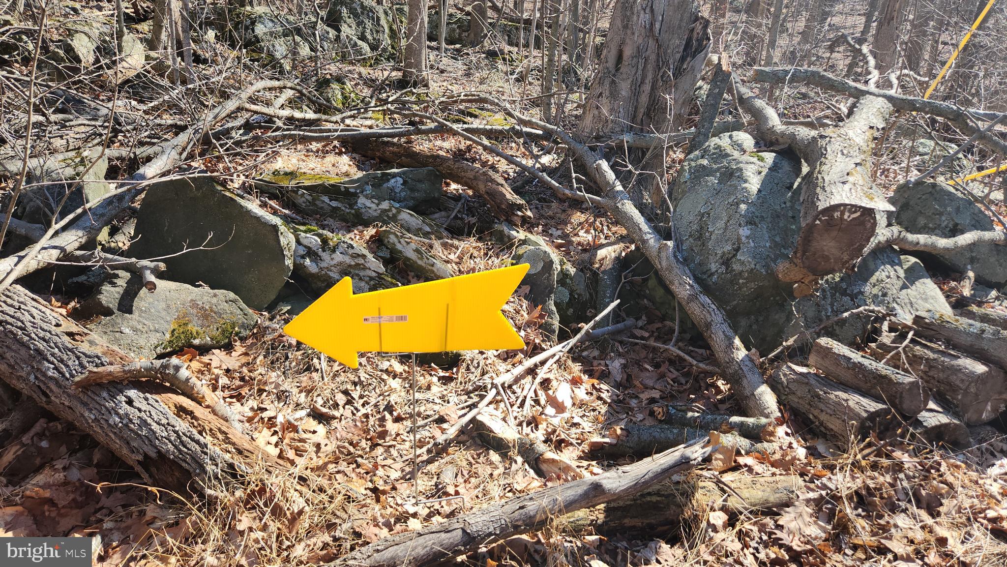 4460 Middlepoint Road Myersville, MD 21773 - Photo 6 of 6 a view of swimming pool