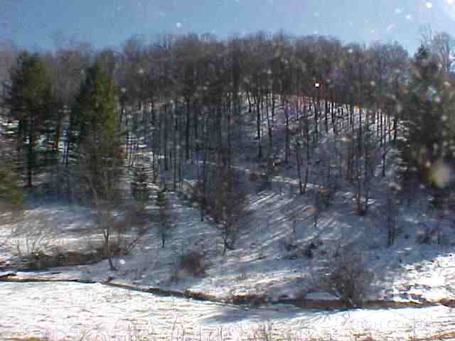 Old Field Creek Road Lansing, NC 28643 - Photo 1 of 1 a view of a yard with lots of trees