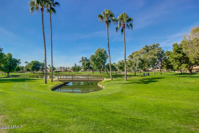 a view of a swimming pool with a yard