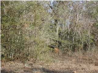 Lot 13 Dove Run Road Holt, FL 32564 - Photo 1 of 1 a close up of a wall
