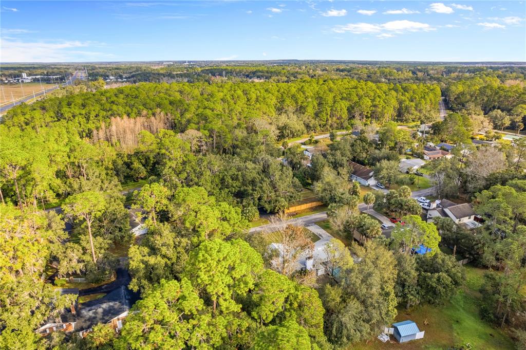 1002 Pine Tree Drive Eustis, FL 32726 - Photo 58 of 64