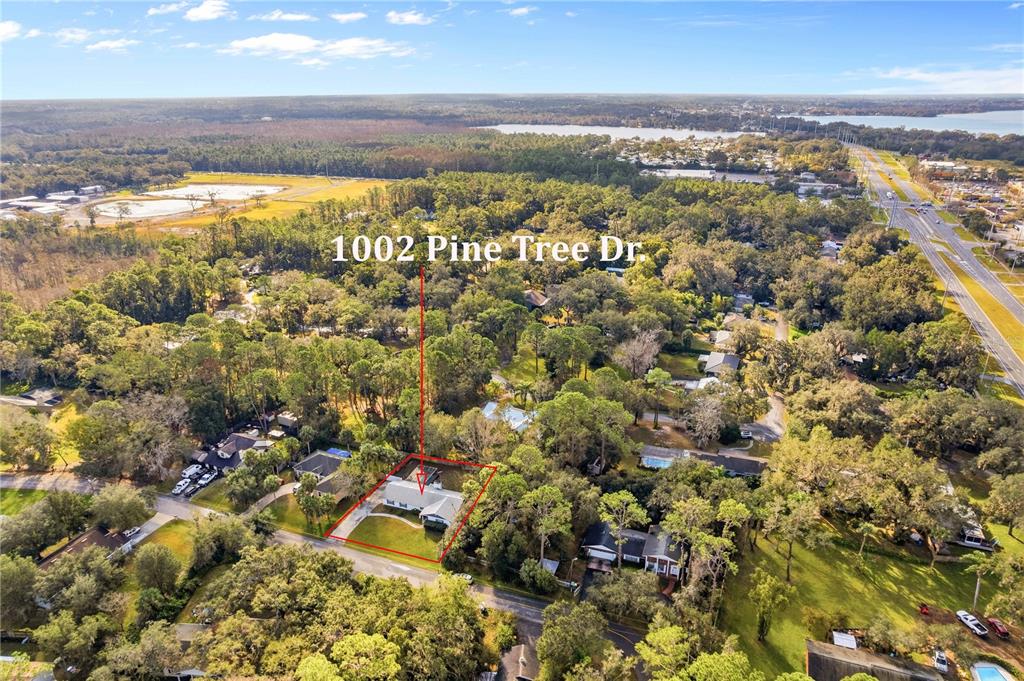 1002 Pine Tree Drive Eustis, FL 32726 - Photo 59 of 64