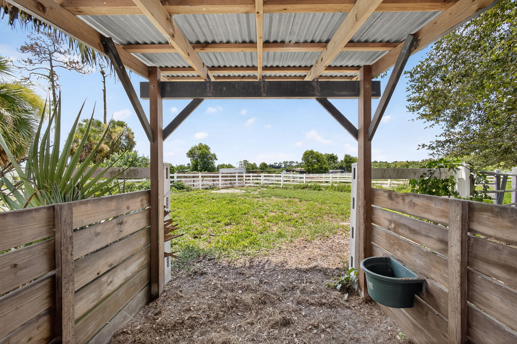 14095 Biddex Road Loxahatchee Groves, FL 33470 - Photo 14 of 60 75-web-or-mls-BS1A5082
