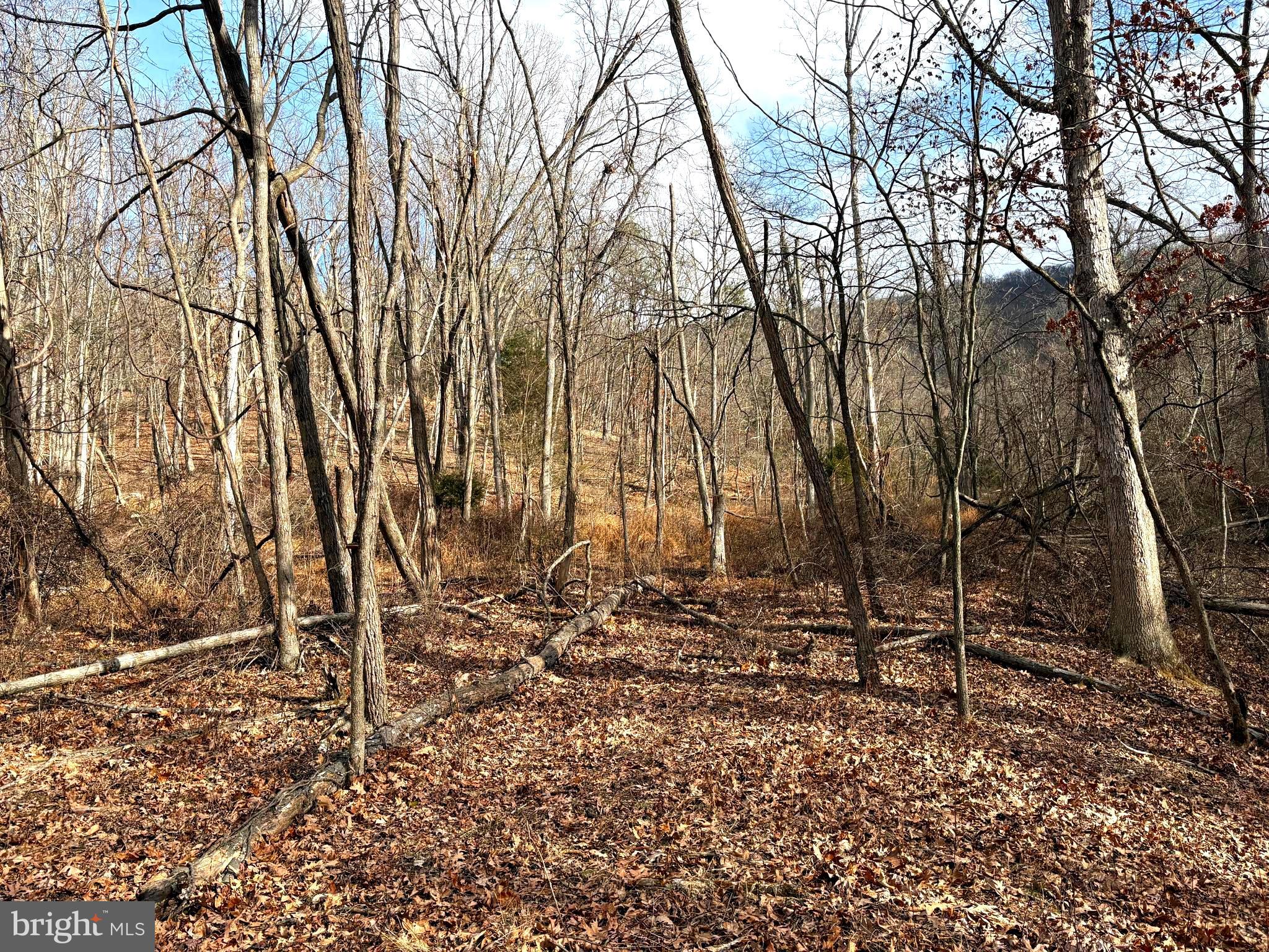 16 Rolling Acres Road Old Fields, WV 26845 - Photo 11 of 23