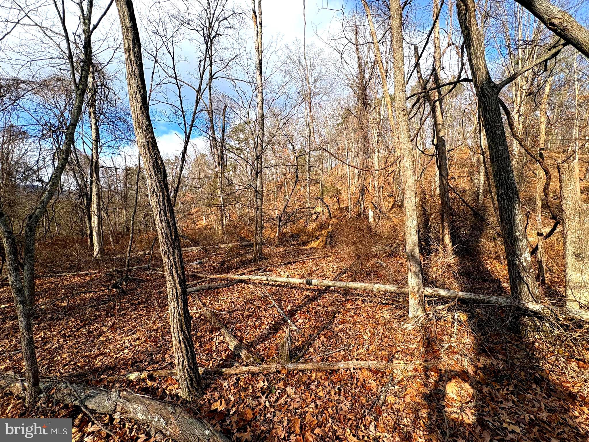 16 Rolling Acres Road Old Fields, WV 26845 - Photo 13 of 23