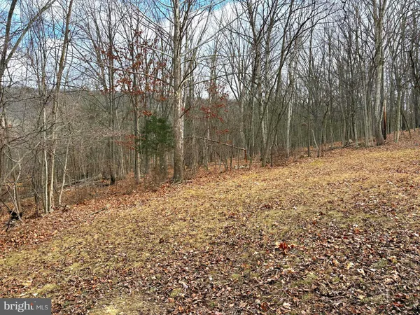 $69,900 | 16 Rolling Acres Road, Old Fields, WV 26845