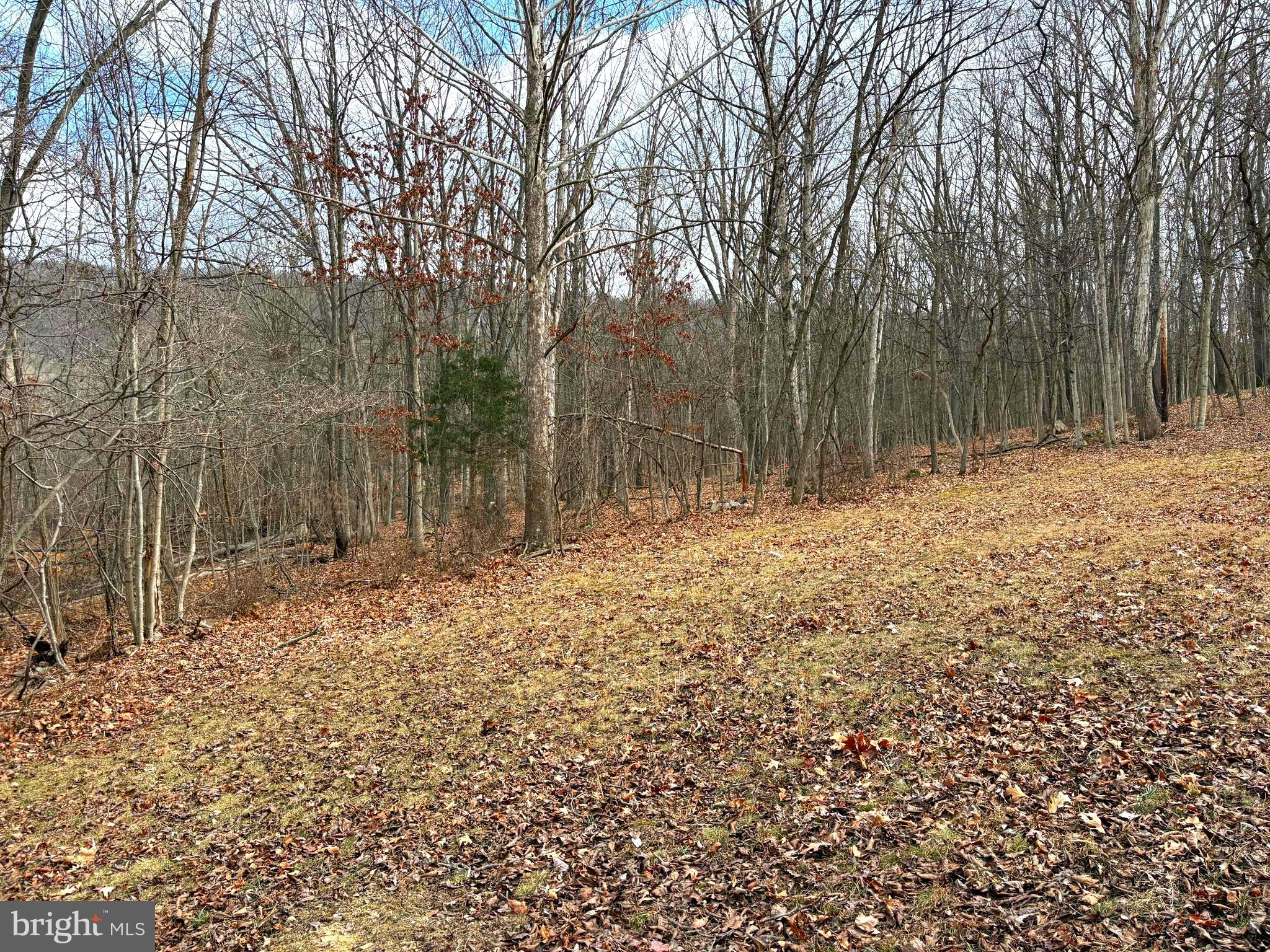 16 Rolling Acres Road Old Fields, WV 26845 - Photo 14 of 23