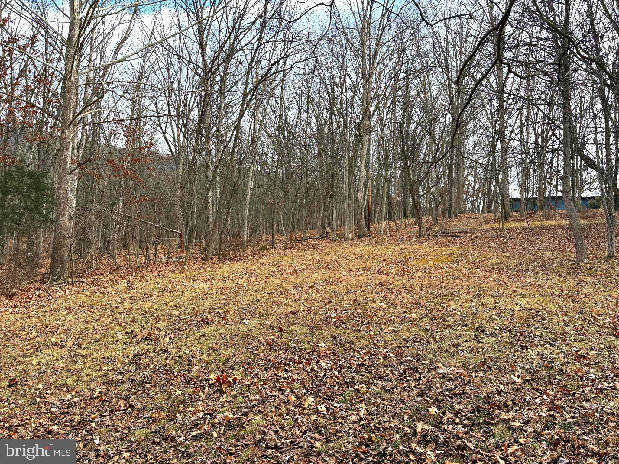 16 Rolling Acres Road Old Fields, WV 26845 - Photo 15 of 23