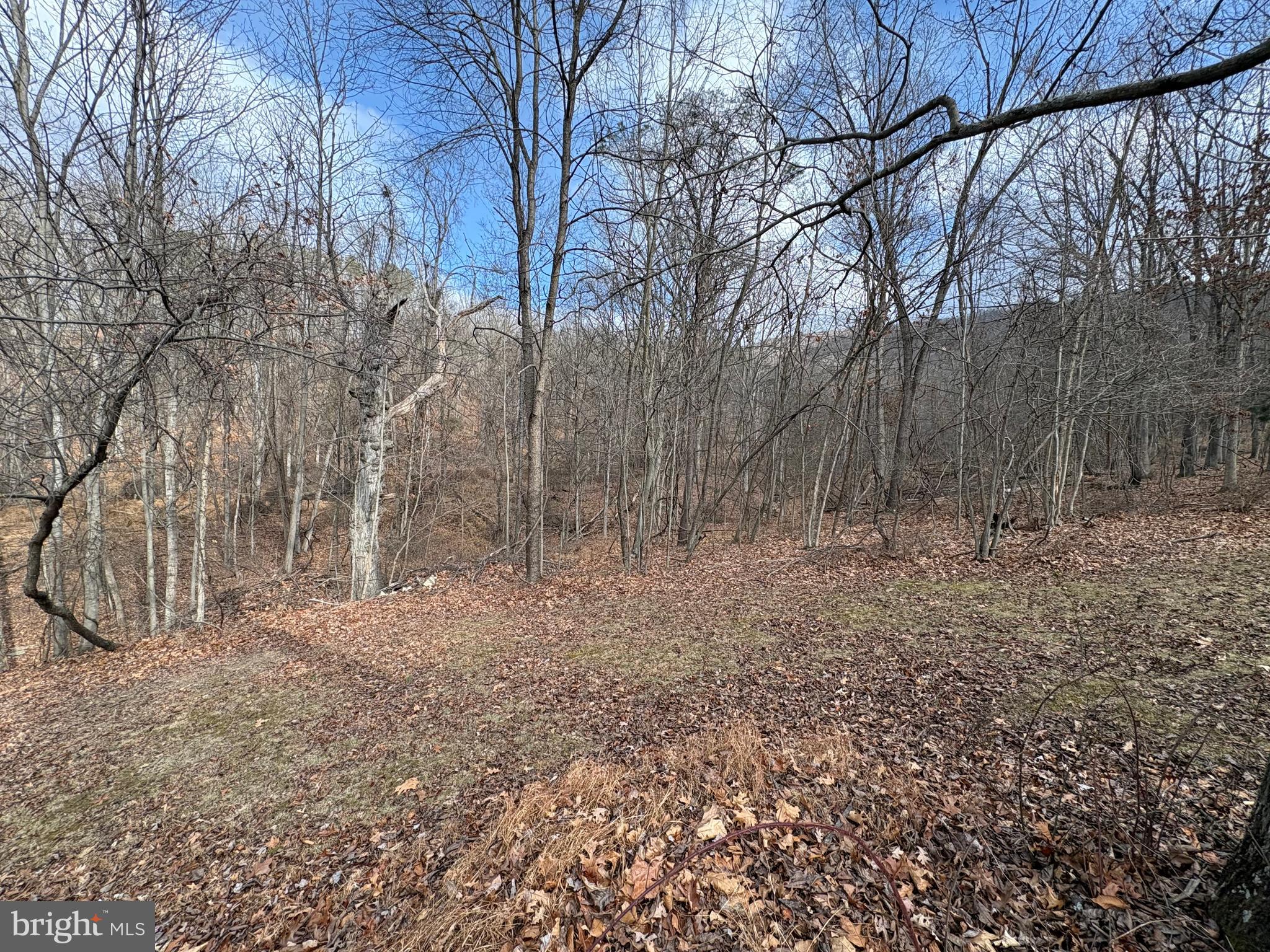 16 Rolling Acres Road Old Fields, WV 26845 - Photo 17 of 23