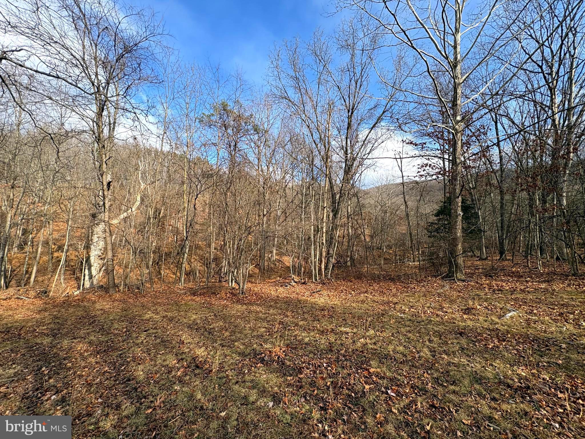 16 Rolling Acres Road Old Fields, WV 26845 - Photo 5 of 23
