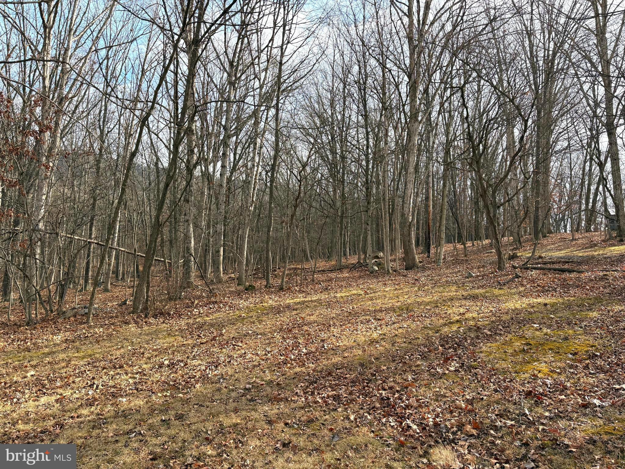 16 Rolling Acres Road Old Fields, WV 26845 - Photo 6 of 23