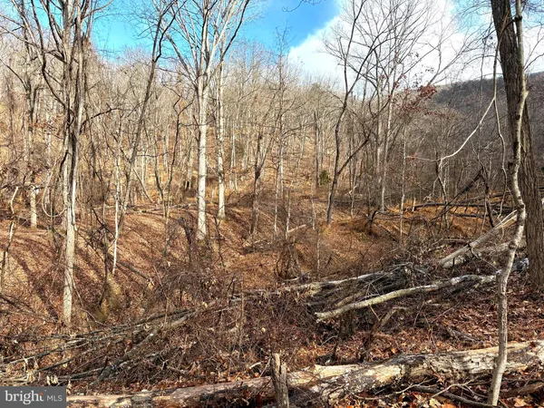 $69,900 | 16 Rolling Acres Road, Old Fields, WV 26845