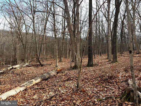 $69,900 | 16 Rolling Acres Road, Old Fields, WV 26845