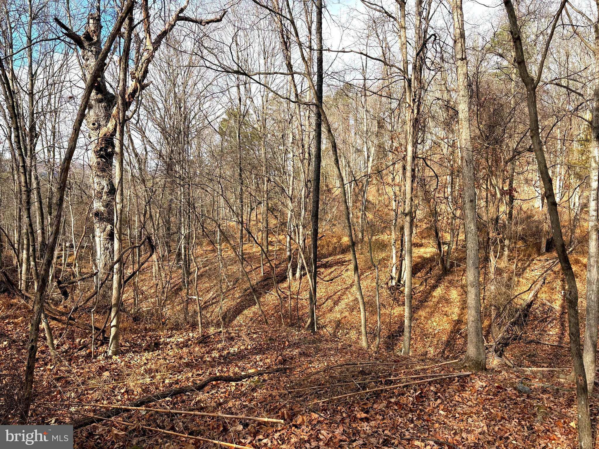 16 Rolling Acres Road Old Fields, WV 26845 - Photo 10 of 23