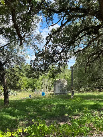 a view of outdoor space with trees