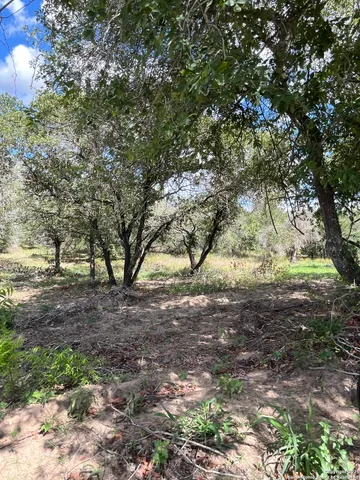 a view of backyard with green space