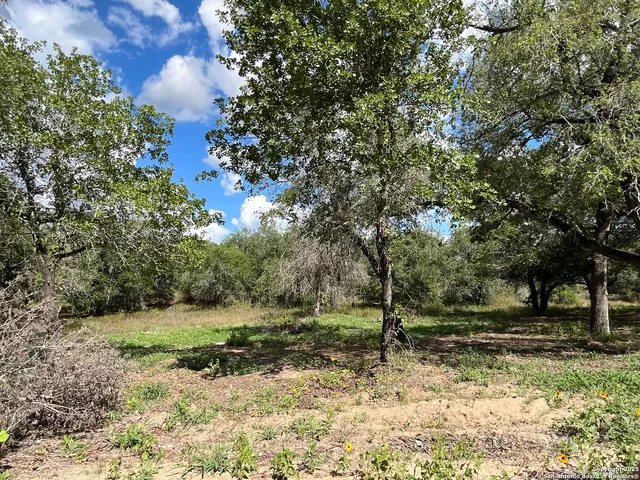 $399,000 | 497 County Road 124, Floresville, TX 78114