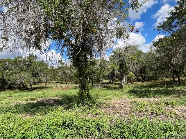 $399,000 | 497 County Road 124, Floresville, TX 78114