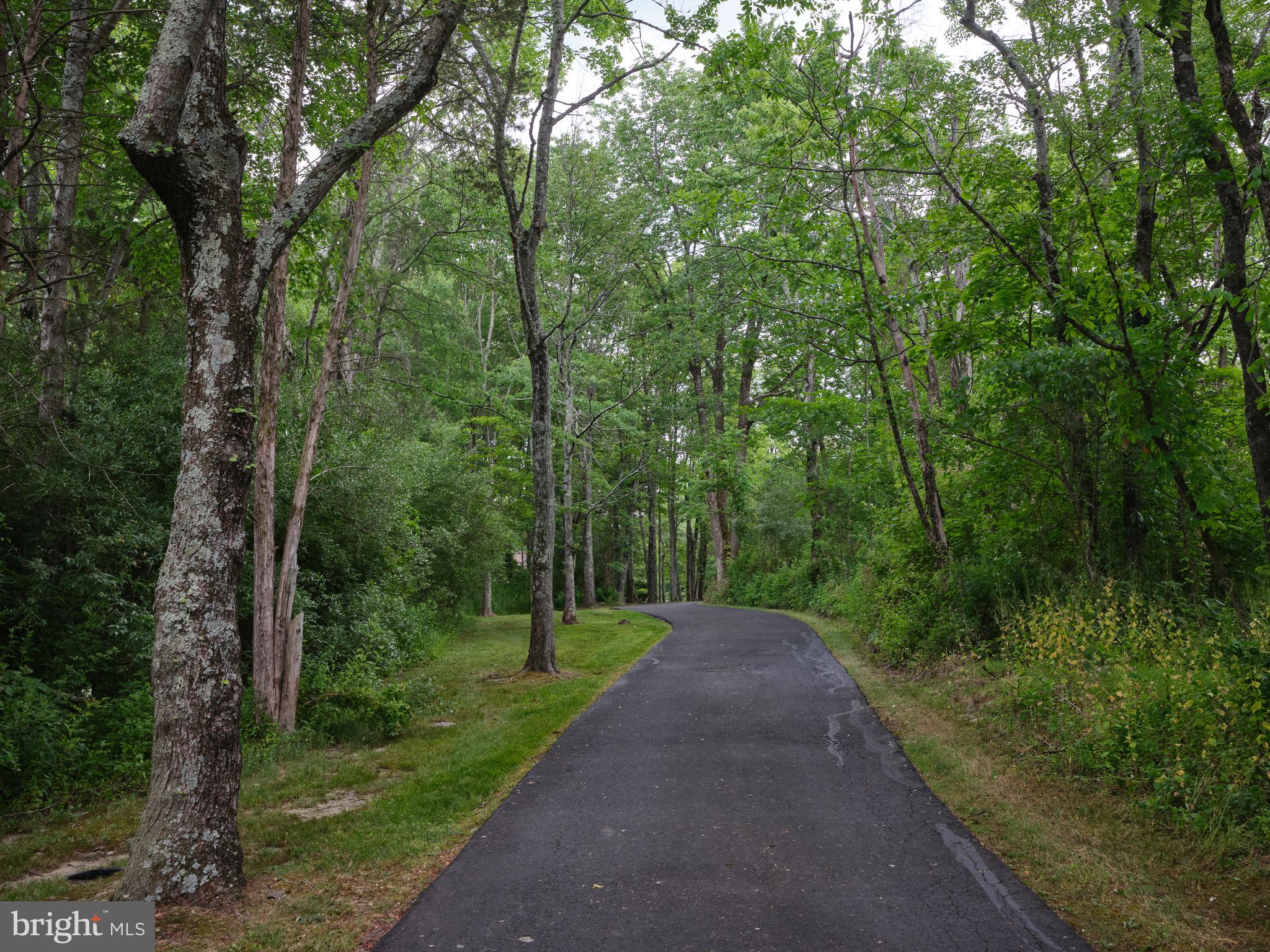 6700 Point Pleasant Pike New Hope, PA 18938 - Photo 41 of 41 Private Drive