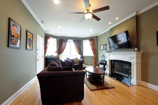2038 West Iowa Street, Unit 2W Chicago, IL 60622 - Photo 2 of 11 a living room with furniture a fireplace and a flat screen tv
