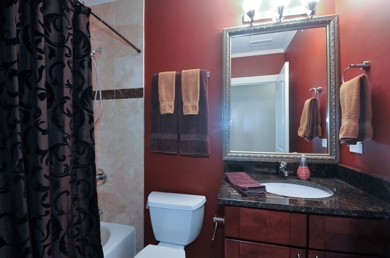 2038 West Iowa Street, Unit 2W Chicago, IL 60622 - Photo 10 of 11 a bathroom with a granite countertop sink and a mirror