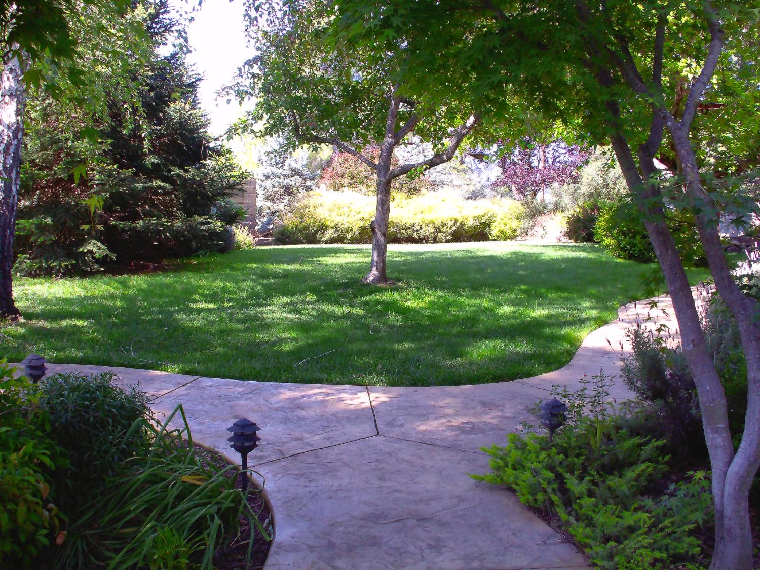 5620 China Hill Road El Dorado, CA 95623 - Photo 2 of 84 Frontyard