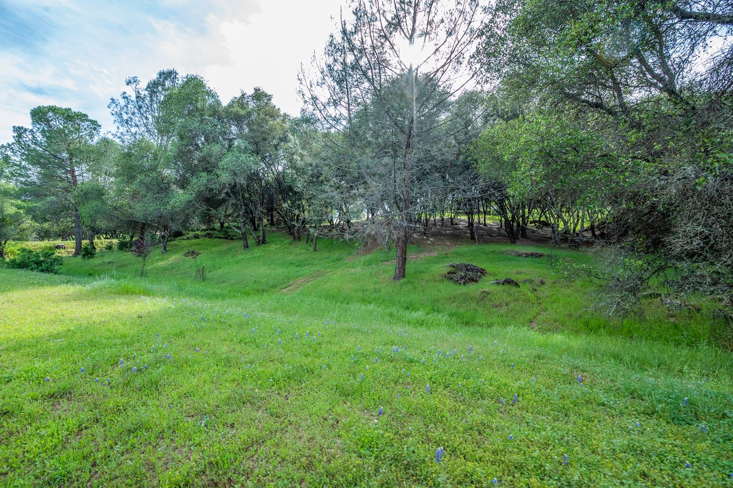 5620 China Hill Road El Dorado, CA 95623 - Photo 61 of 84