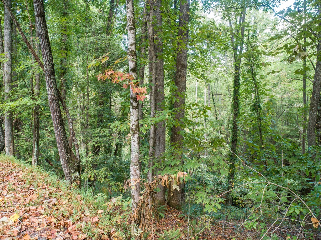 1003 Sun Rock Mountain Road Blue Ridge, GA 30513 - Photo 24 of 36 Gallery Image 24