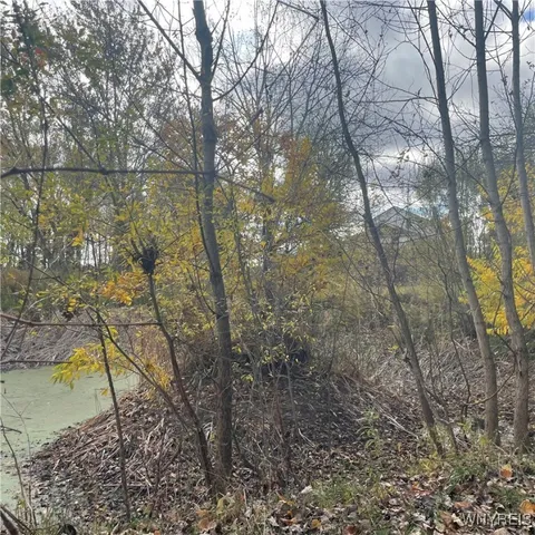 $239,675 | 14013 West County House Road, Albion, NY 14411