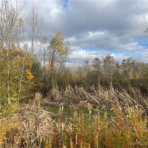 $239,675 | 14013 West County House Road, Albion, NY 14411