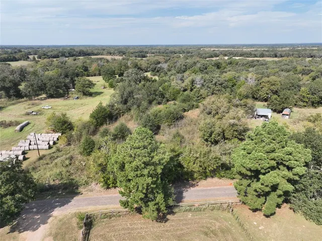 a view of a yard with plants