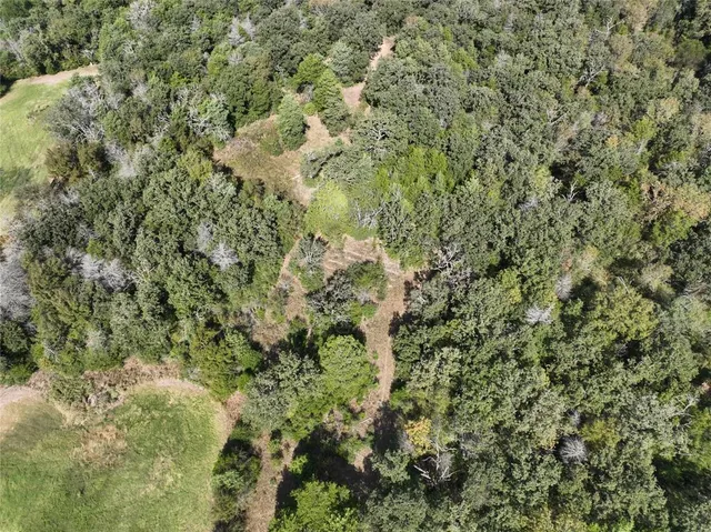 a view of a yard of a building