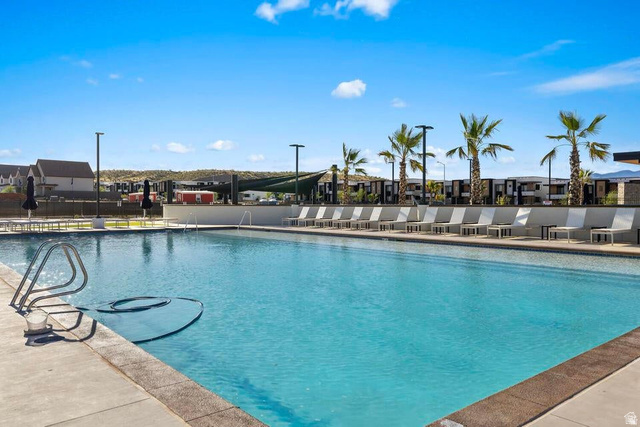2123 Wolverine Way, Unit 2437 Washington, UT 84780 - Photo 5 of 40 Community swimming pool with concrete decking, surrounding lounge chairs, and mature palm trees