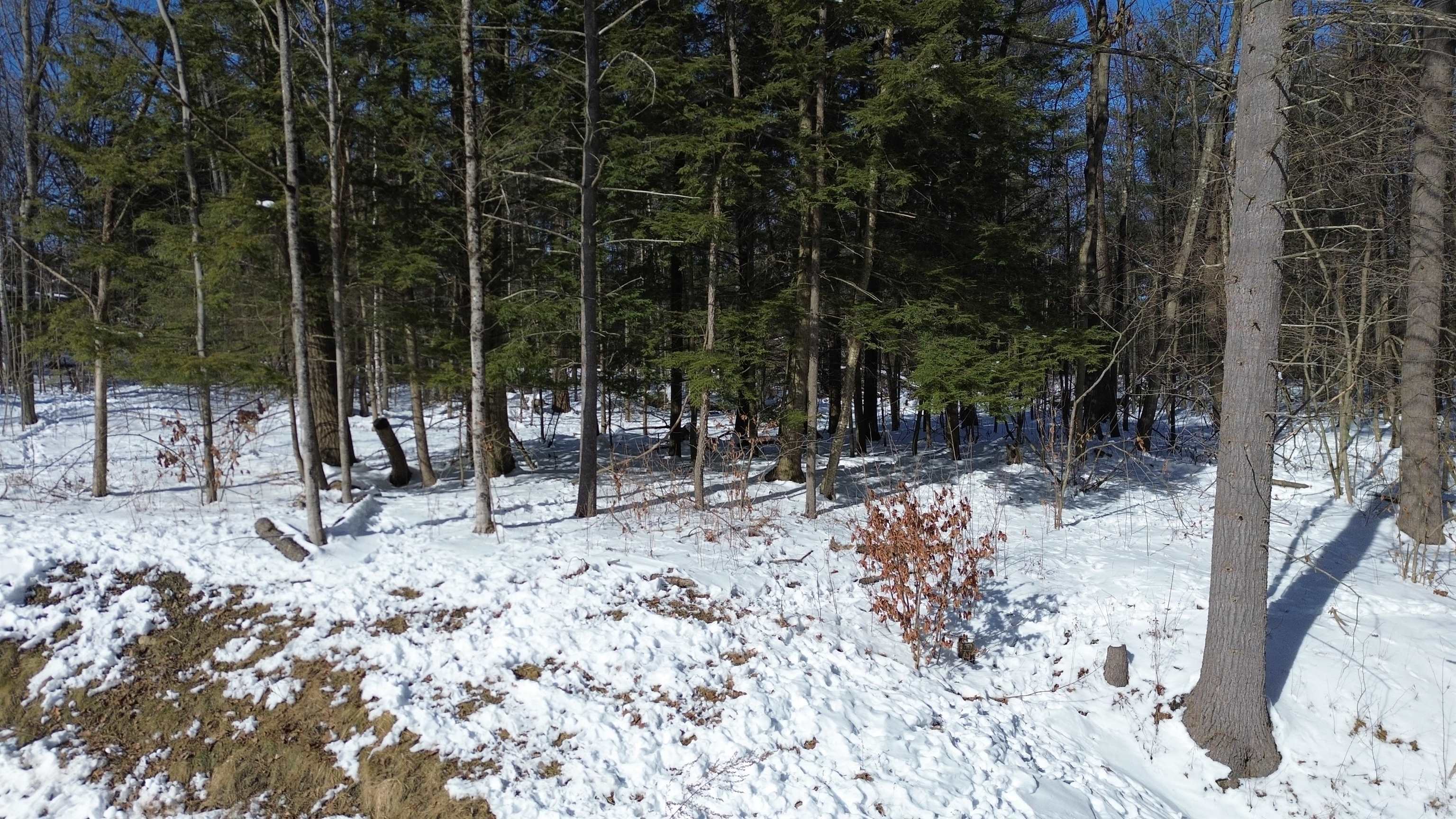 0 Shore Acres Drive Colchester, VT 05446 - Photo 5 of 6