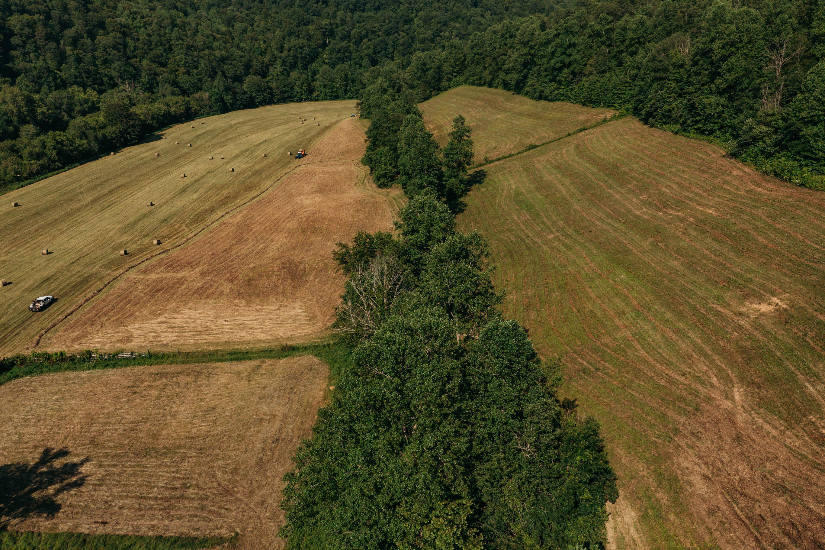 251 Everett Byrd Road Ricetown, KY 41364 - Photo 16 of 54 251 Everett Byrd Rd6