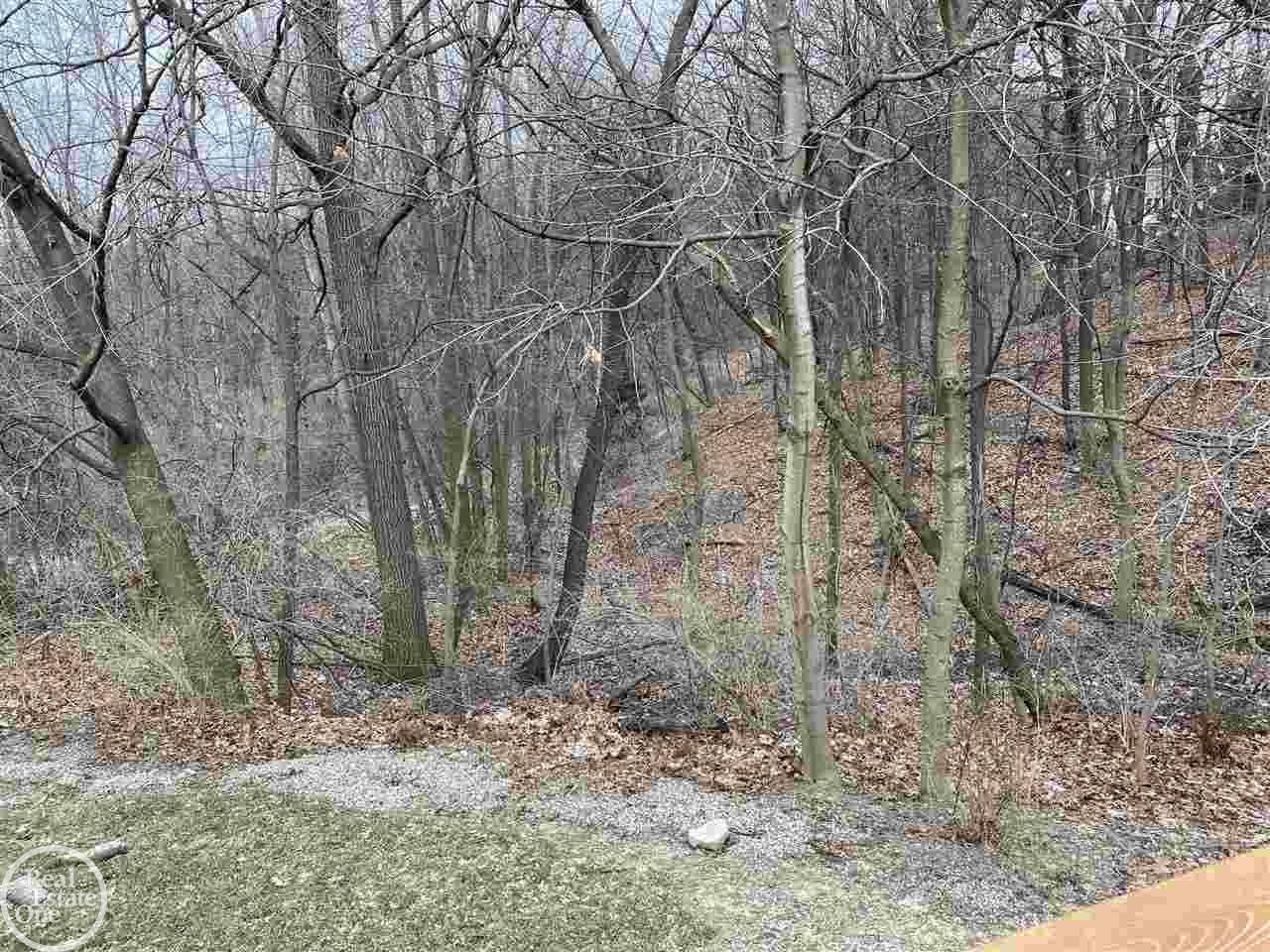 479 Bolinger Street Rochester, MI 48307 - Photo 27 of 37 No neighbors behind
