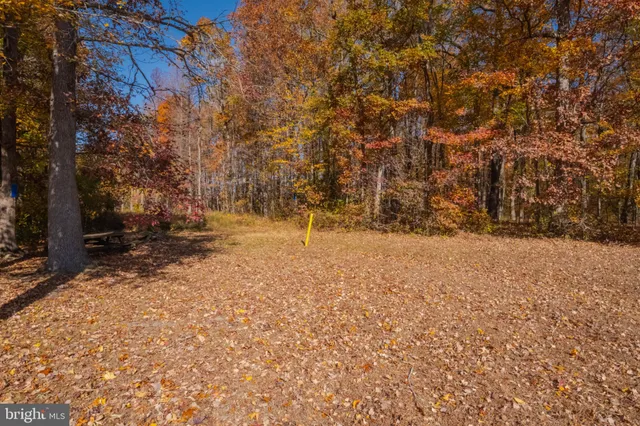 a view of house with yard