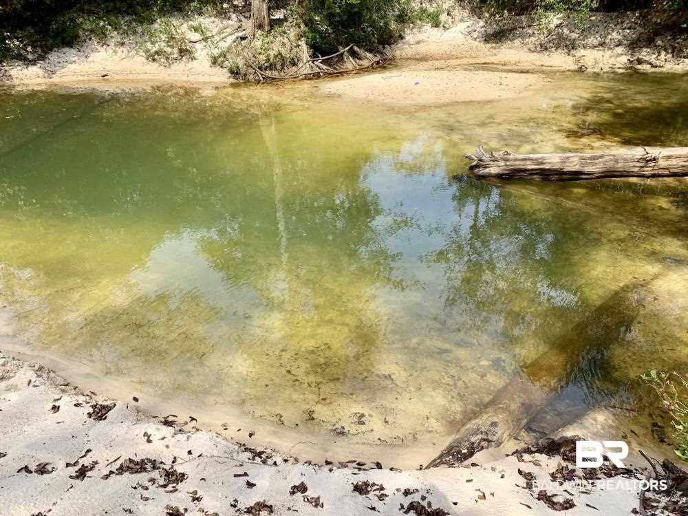 0 Country Road Mobile, AL 36608 - Photo 5 of 27