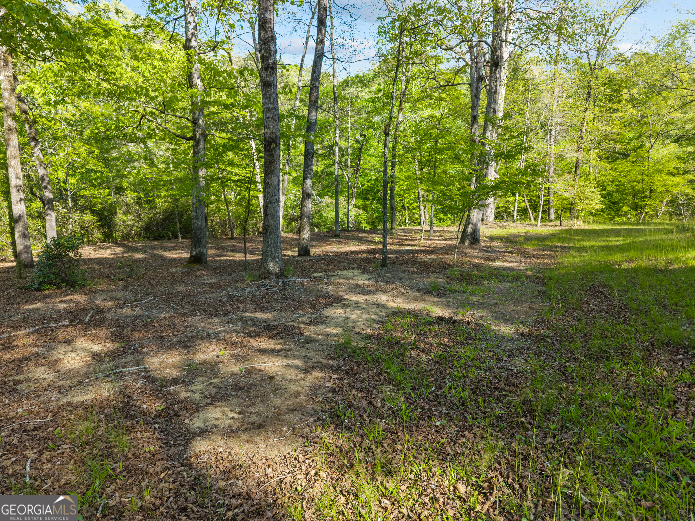 1070 Riverwalk Pointe Road Bishop, GA 30621 - Photo 54 of 80