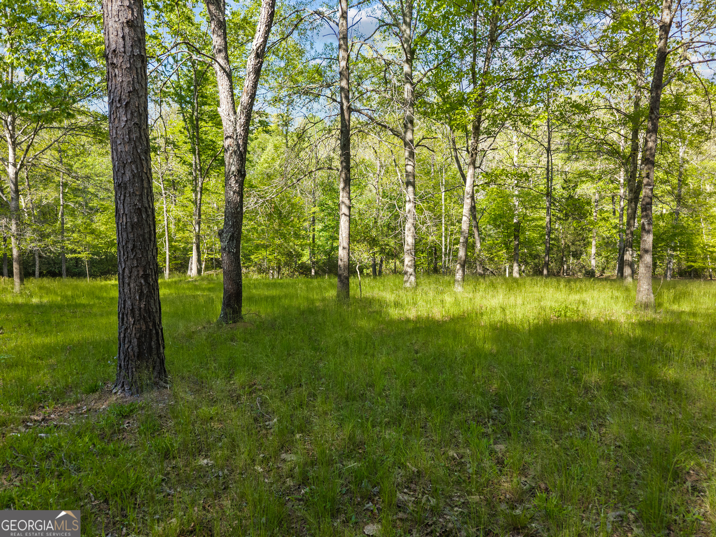 1070 Riverwalk Pointe Road Bishop, GA 30621 - Photo 62 of 80